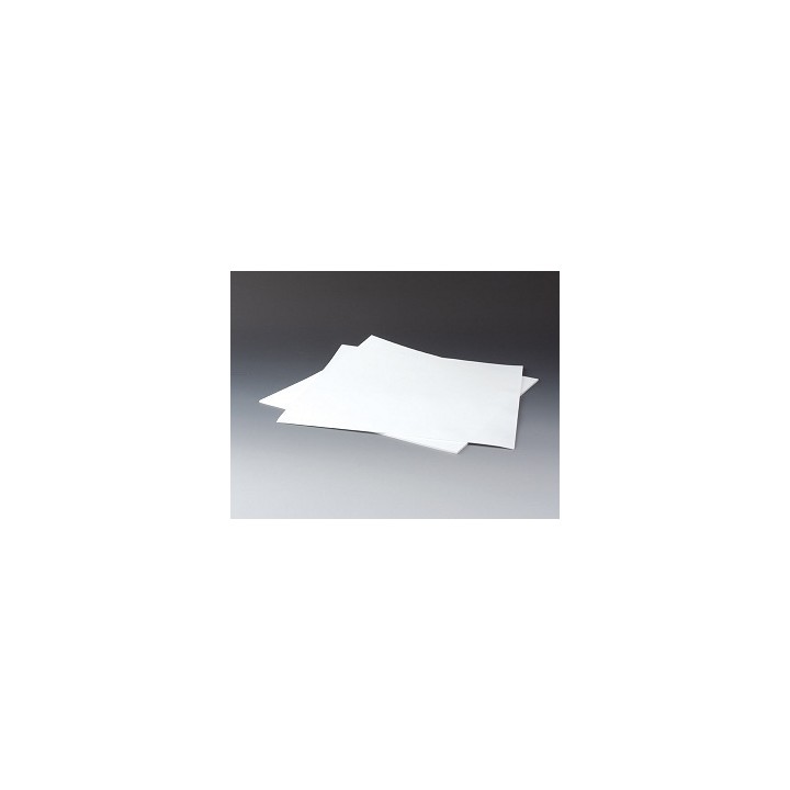 Płyta filtracyjna PTFE 10 µm 320 x 320 x 3 mm | Hornik