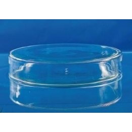 Szalka Petriego szkło Ø 50x12 mm