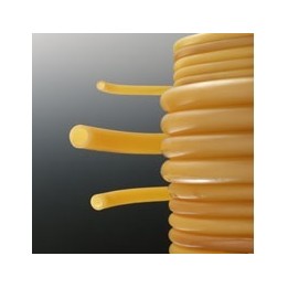 Transparent Latex Hose 7/10 mm, 10 m | Hornik