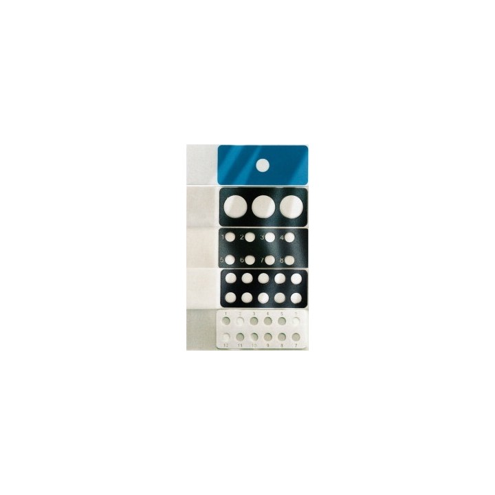 Diagnostic slide 75x25x1 mm PTFE 12 wells | Hornik