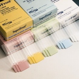 Objektträger Superfrost rosa 76x26x1 mm Beschriftungsfeld 26x19 mm beschichtet VE 1000 Stck.