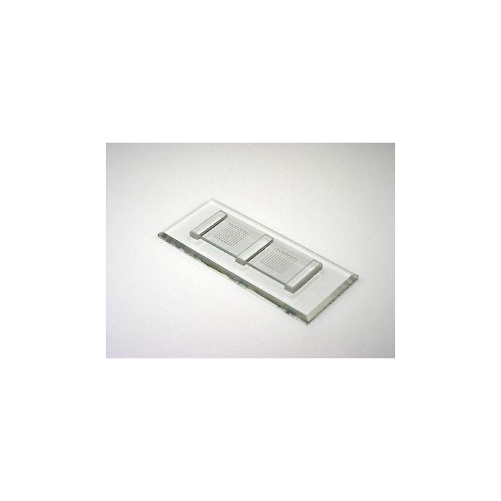 Counting chamber McMaster with 2 counting areas cover glass with 2 coun