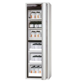 Sicherheitsschrank S90.196.060.MH.FDASR | Hornik