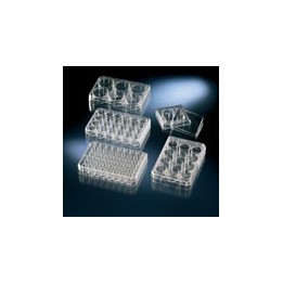 Multischale 24 Well unbehandelt, steril, VE 75 Stck. | Hornik