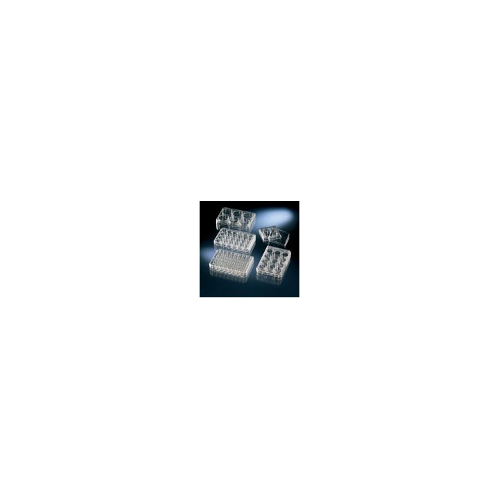 Multischale 24 Well unbehandelt, steril, VE 75 Stck. | Hornik