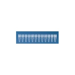 Probówki PCR 12-paskowe PP, 0,2 ml, bez wieczka | Hornik