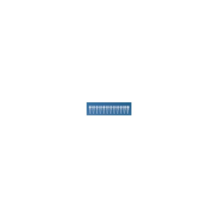 PCR-Gefäße 12er-Strips PP, 0,2 ml, ohne Deckel | Hornik