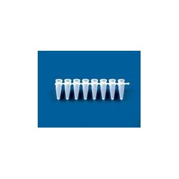 8-Strip PCR Tubes for qPCR, 0.2 ml, BIO-CERT® | Hornik