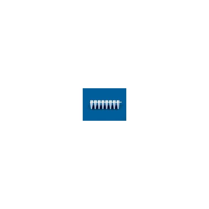 PCR-Gefäße 8er-Strips für qPCR, 0,2 ml | Hornik