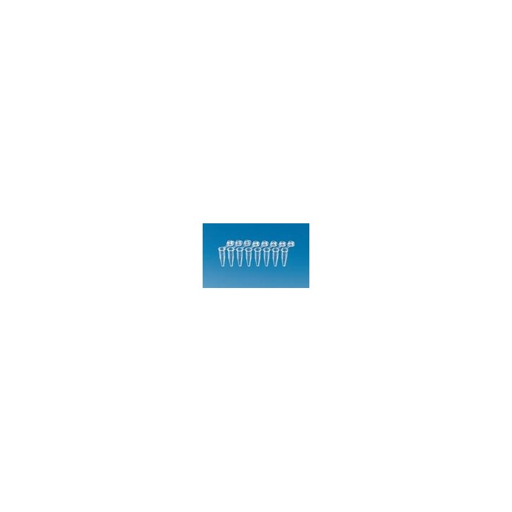 Probówki PCR 8-paskowe PP, 0,2 ml, 120 szt. | Hornik