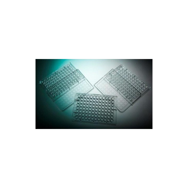Deckel Mikrotiterplatte PS 127x85 mm, 100 Stck. | Hornik