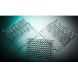 Płytka Immuno 96 Well F96 PolySorp 60 szt. | Hornik