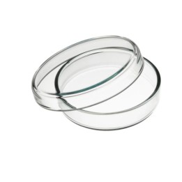 “Anumbra” Petri dish Ø 60x12 mm | Hornik