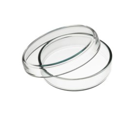Szalka Petriego Anumbra Ø 60x15 mm | Hornik