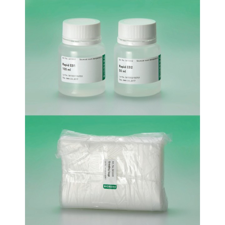 Rapid Potato DNA/RNA Extraction Set 96 | Hornik