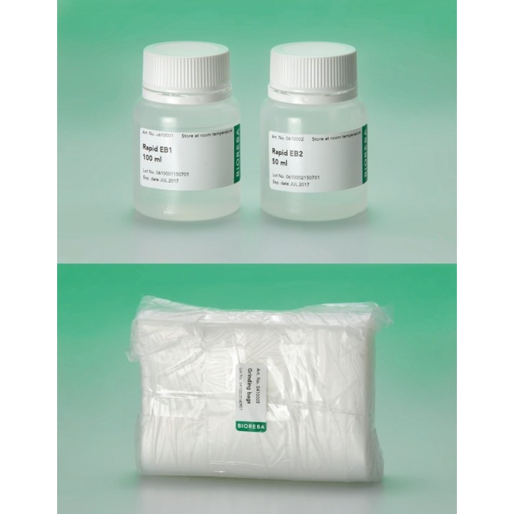 Kartoffel DNA/RNA Schnellextraktionsset | 96 Reaktionen | Hornik