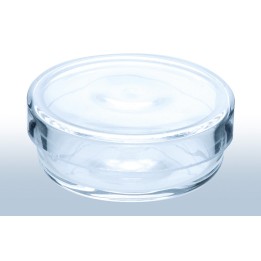 Petrischale Quarzglas 20x8mm | Hornik