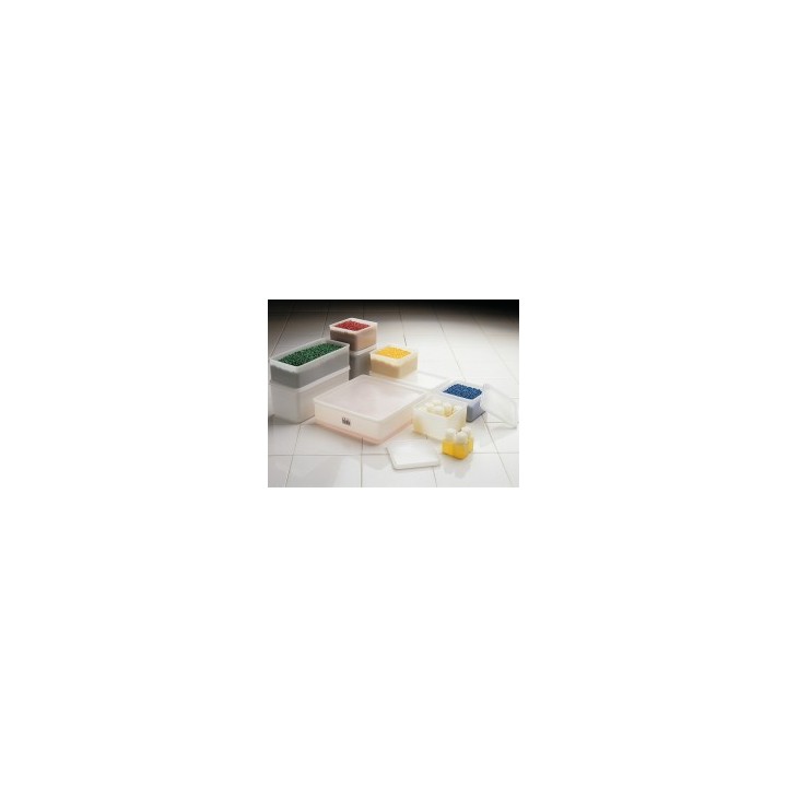 Square PE 2000 ml All-Purpose Container with Lid | Hornik
