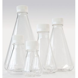 Erlenmeyer Flask 500 ml PETG, Sterile, 12 pcs. | Hornik
