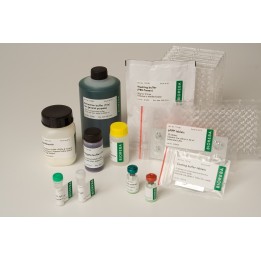 Barley yellow dwarf virus-F BYDV-F Complete kit 480 assays pack 1 kit