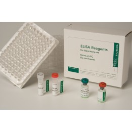 Raspberry ringspot virus-ch RpRSV-ch Reagent set 480 Tests VE 1 set