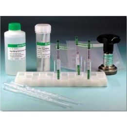 PVX AgriStrip Teststreifen, VE 25 Tests | Hornik