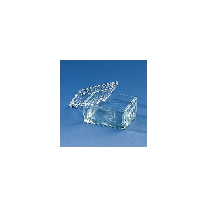 Schiefferdecker Staining Trough, 10 Slides | Hornik