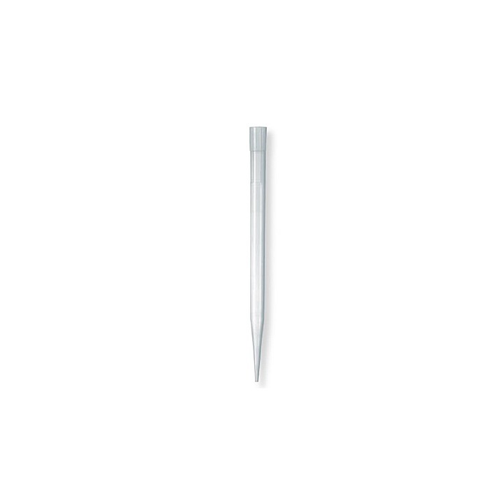 Pipettenspitzen 0,5 - 5 ml PP | Hornik