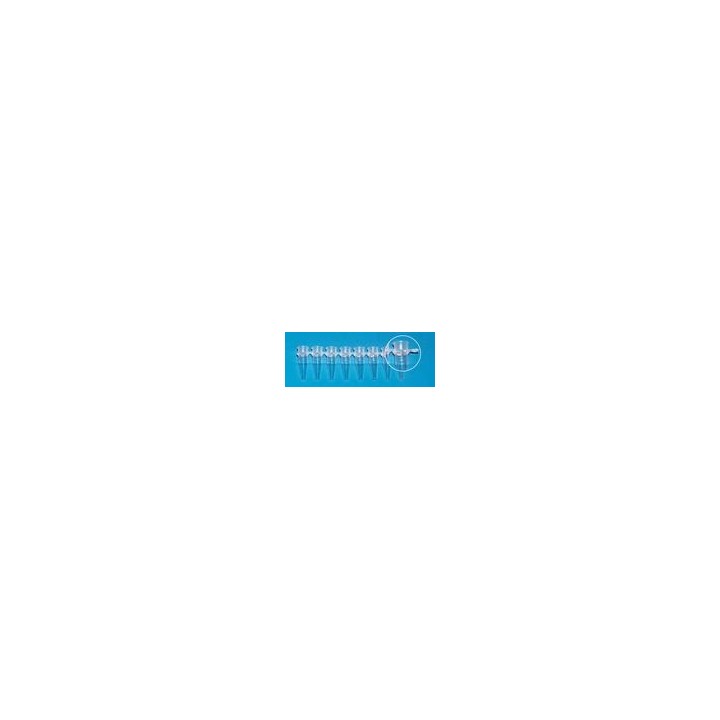 PCR-Gefäße 8er-Strips 0,2 ml BIO-CERT® | Hornik