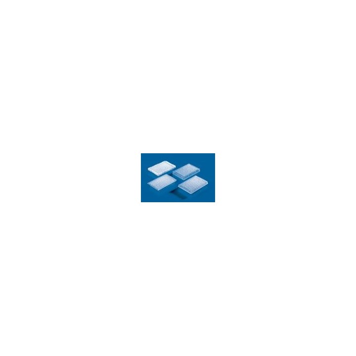 PCR-Platte 384-well, 0,04 ml, mit Rahmen, 50 Stck. | Hornik