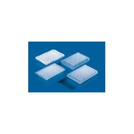 PCR-Platte 96-well 0,2 ml BIO-CERT®, VE 50 Stck. | Hornik