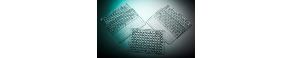 Mikropłytki – Wyposażenie laboratoryjne do analiz chemicznych