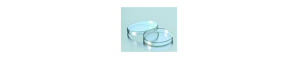 Glass Petri Dishes – Chemistry, Laboratory, Cultivation