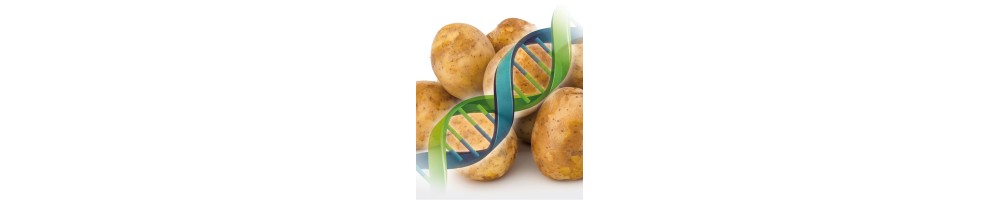 Extraction Set für Kartoffel DNA/RNA – Nukleinsäure-Extraktion